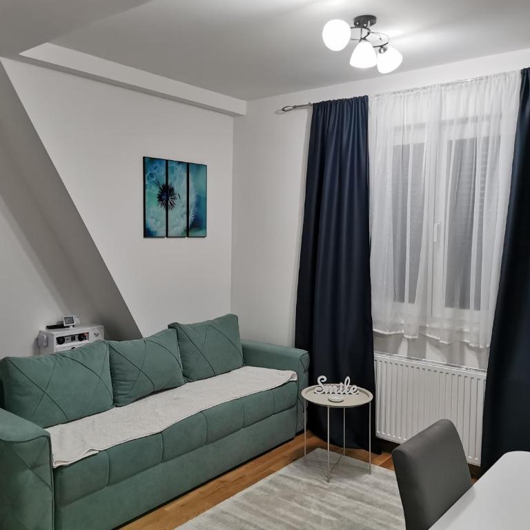 Apartman Divcigora Sokic - Apartman sa 1 Spavaćom Sobom - 8