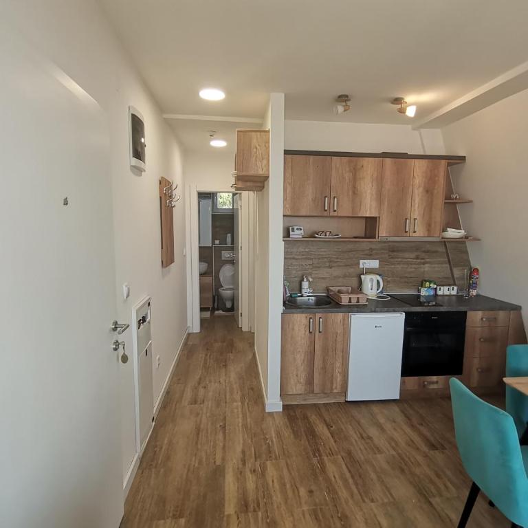 Apartman Kopaonik Buena Vista - One-Bedroom Apartment - 9