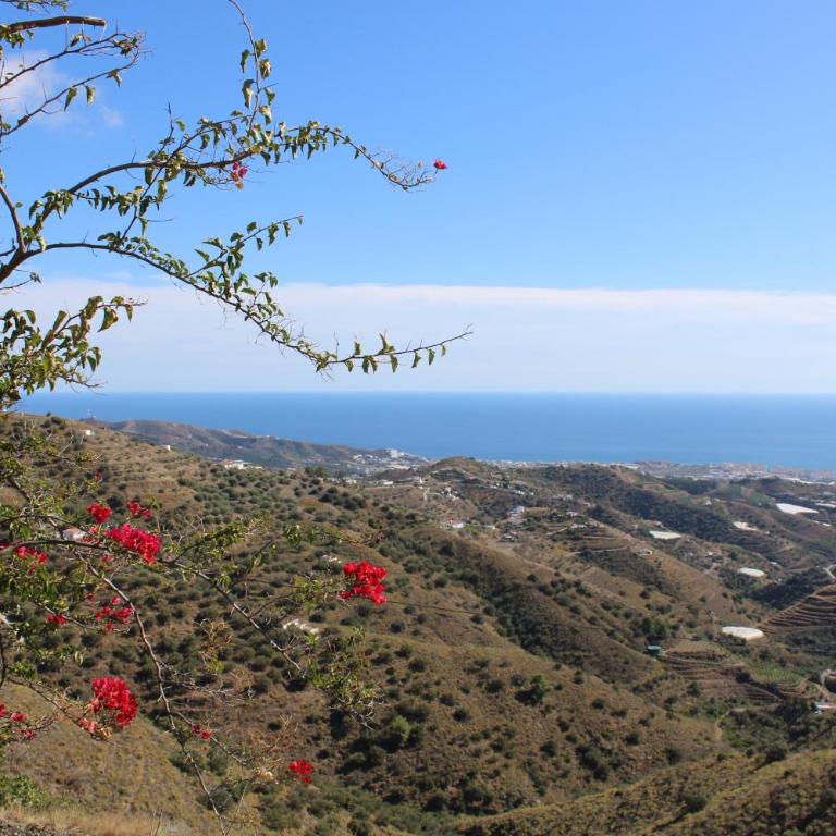 Villa Tranquila - Costa del Sol - Great Seaview - Priv Pool - 3 bed - Villa de 3 dormitorios - 32