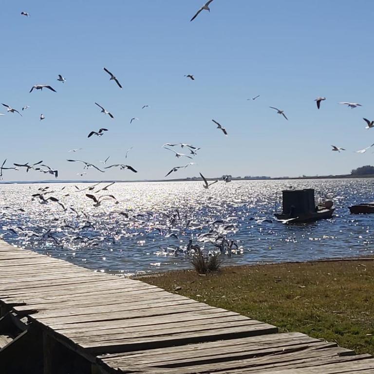 La Ranita Negra - Two-Bedroom House - 34