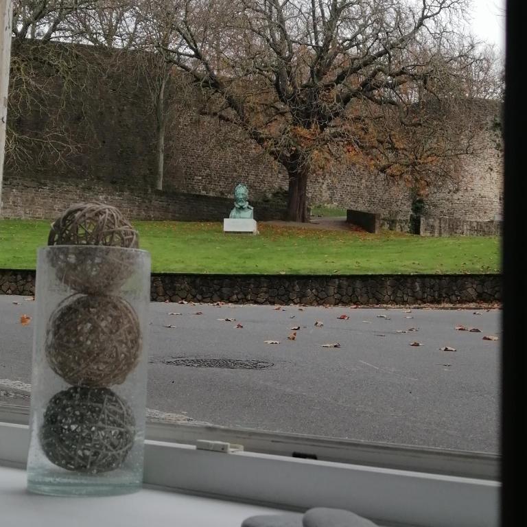 Au pied des remparts ... - Appartamento con 1 Camera da Letto - 7