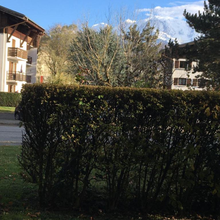 MONT BLANC HOLIDAYS dans résidence avec Gardien - Apartment - 17