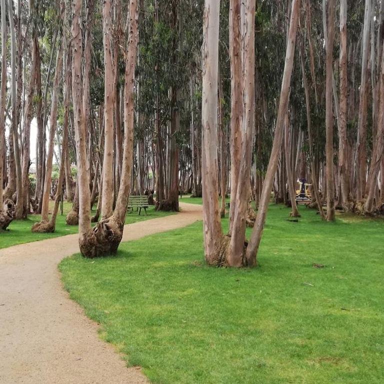 Espectacular Departamento Algarrobo Norte - Apartamento de 3 dormitorios - 29