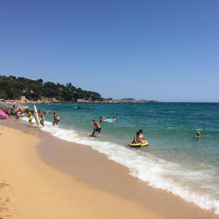Bertur Gran Reserva Comte Empuries - Apartamento de 1 dormitorio - 68