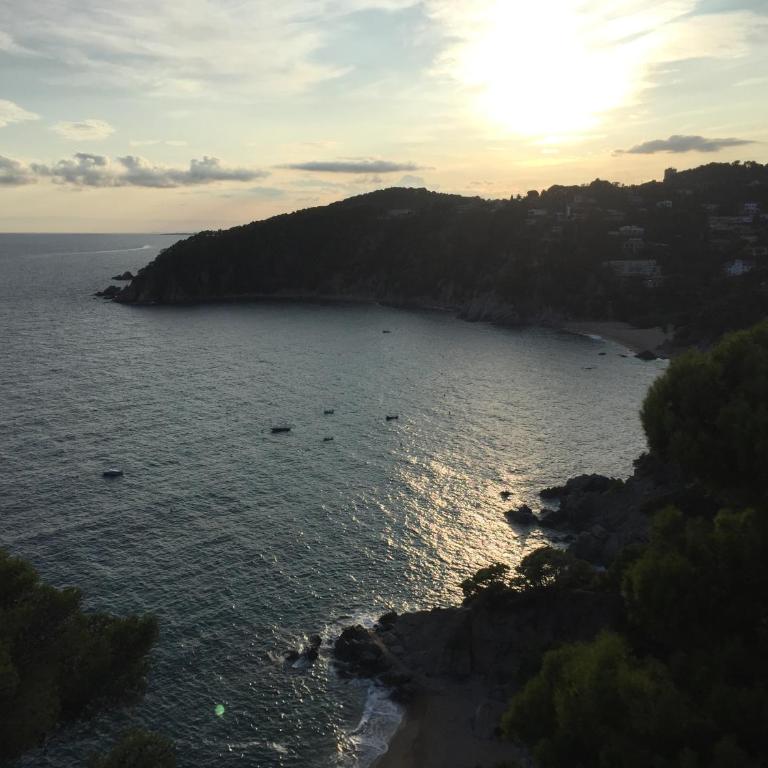 Bertur Gran Reserva Comte Empuries - Apartamento de 1 dormitorio - 67