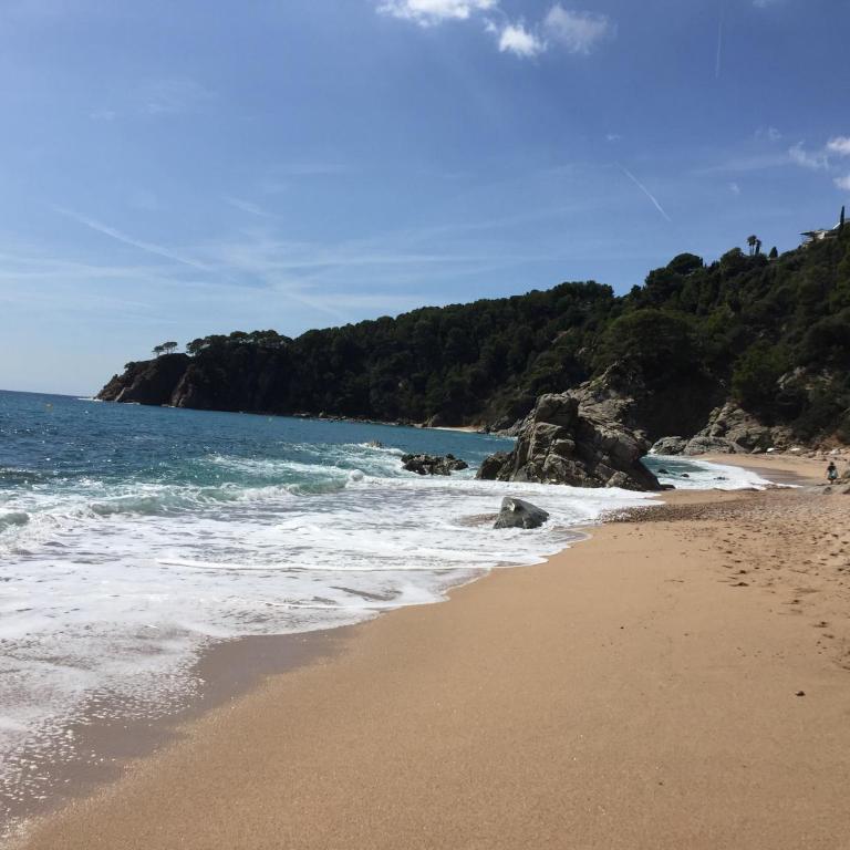 Bertur Gran Reserva Comte Empuries - Apartamento de 1 dormitorio - 35