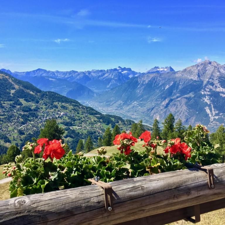 Chalet des Alpes NATURE & MOUNTAIN by Alpvision Résidences - Maisonette-Apartment - 17