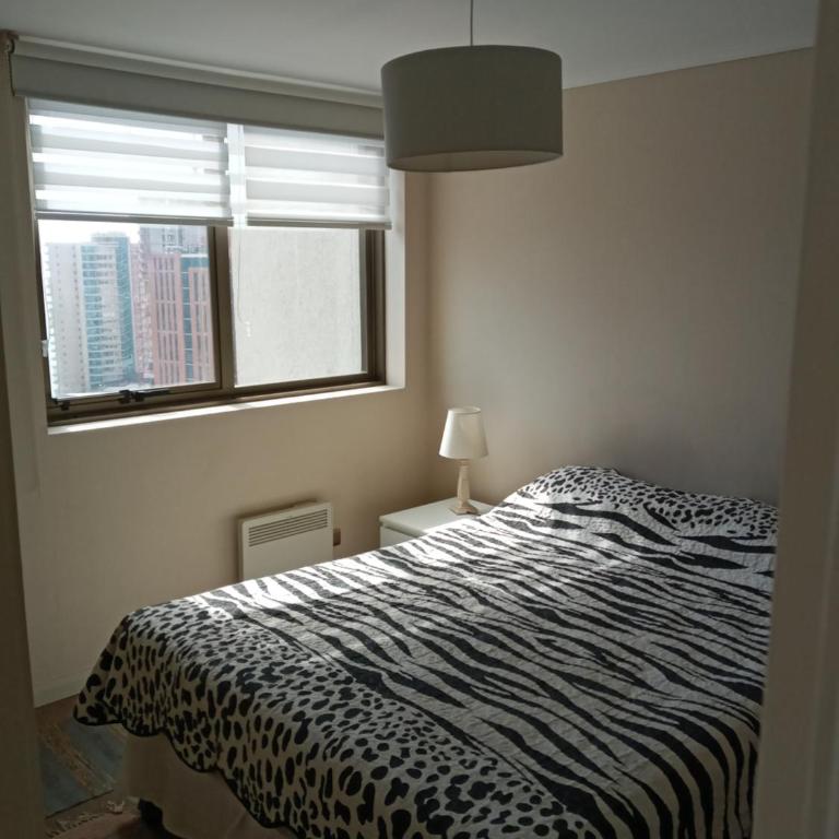 Zafiro Reñaca - Apartamento Superior - 6