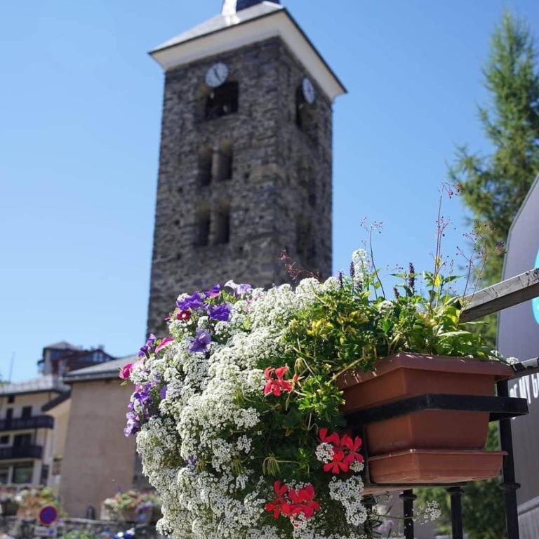 appartement myosotis pour 10 personnes - Appartement - 16