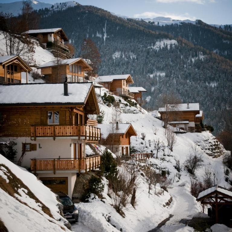 Mayens de l'Ours CZ 013 - MOUNTAIN apartment 8 per - Apartment CZ 013 mit 3 Schlafzimmern - 11