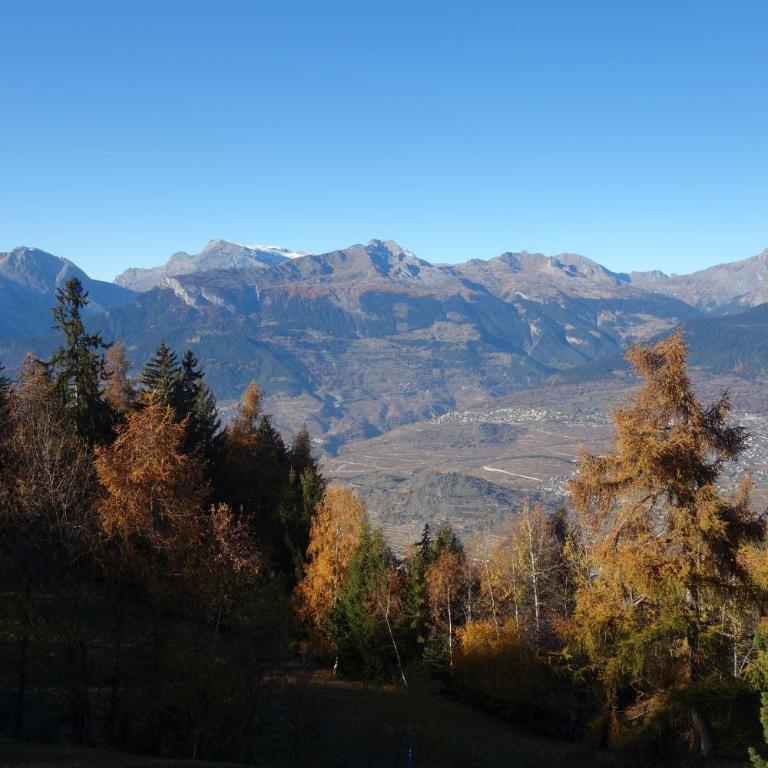 Mayens de l'Ours CZ 013 - MOUNTAIN apartment 8 per - Apartment CZ 013 mit 3 Schlafzimmern - 13