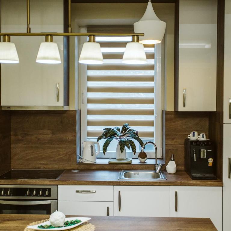 Vively Lux Apartment - Central & Spacious with Balcony and free WiFi - Two-Bedroom Apartment - 10