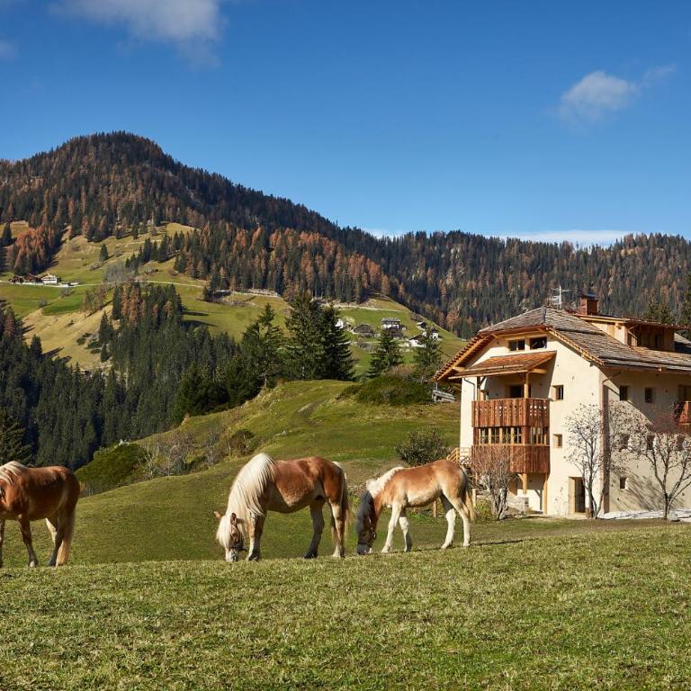 Sotciastel Exclusive Chalet in Alta Badia - Chalet - 2