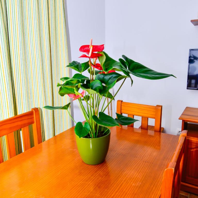 Casa Manoli - Casa - 21