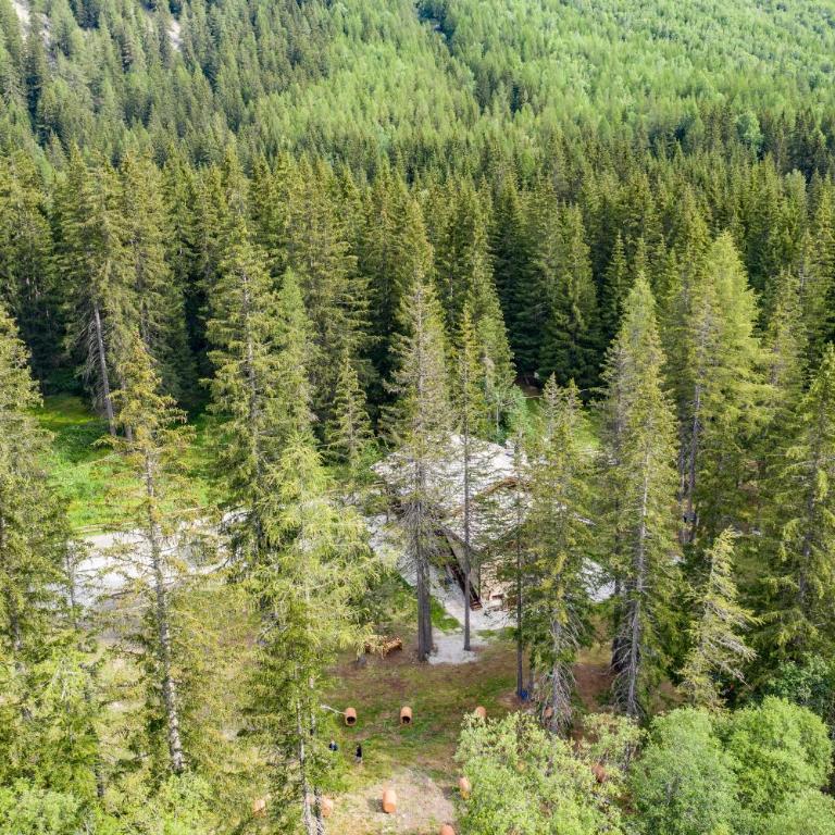 WILDHOMES Wild Wolf Lodge - Appartamento con 3 Camere da Letto - 14