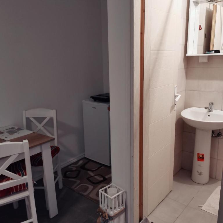 Studio Milica - Apartman sa 1 Spavaćom Sobom - 32