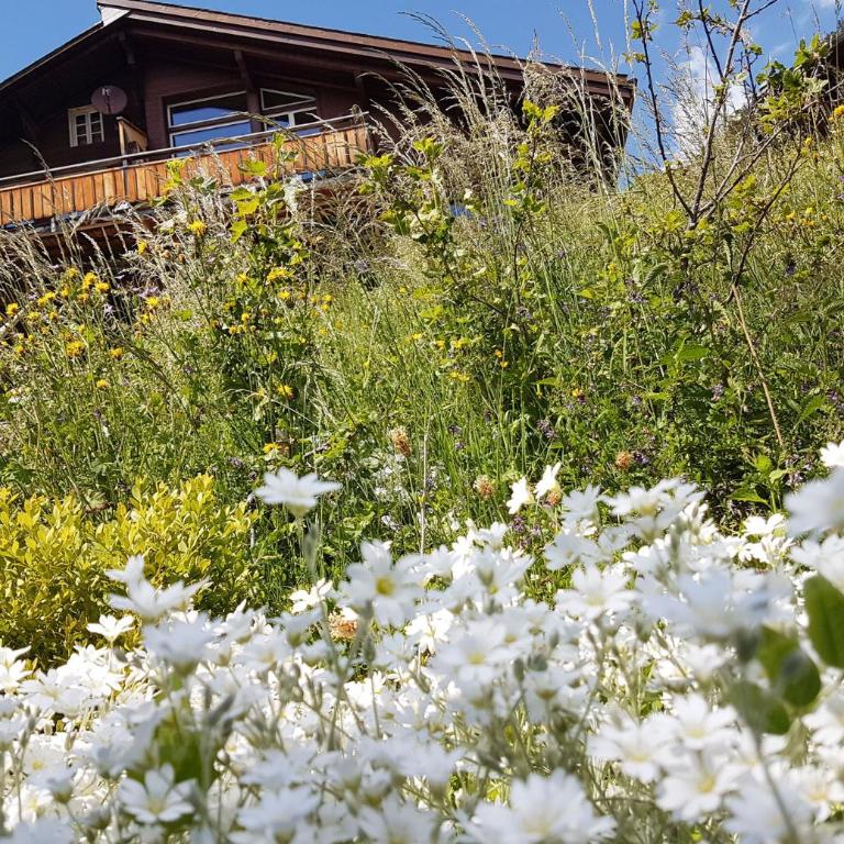 Chalet Ledibach - Superior Chalet - 51