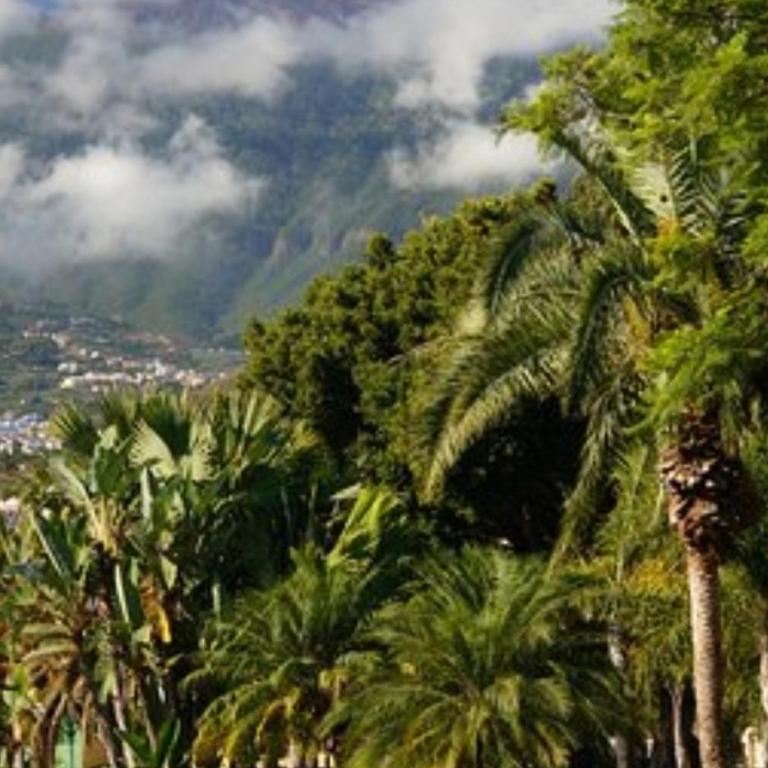 Toplage. Blick. Sauber. Günstig. Pool. Gepflegt - Apartamento de 1 dormitorio - 18