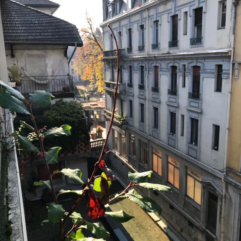 LE GRUFFAZ - Hyper centre, Balcon sur canal - Appartement 1 Chambre - 26