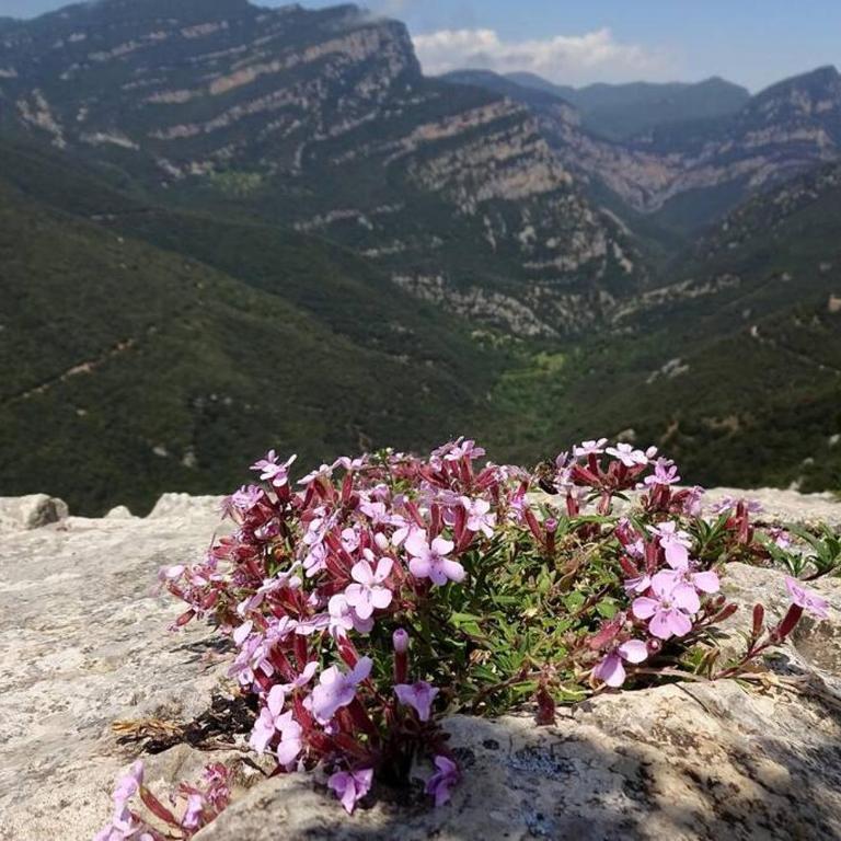 Pont de Valenti Mountain Retreat - Apartamento de 1 dormitorio - 21