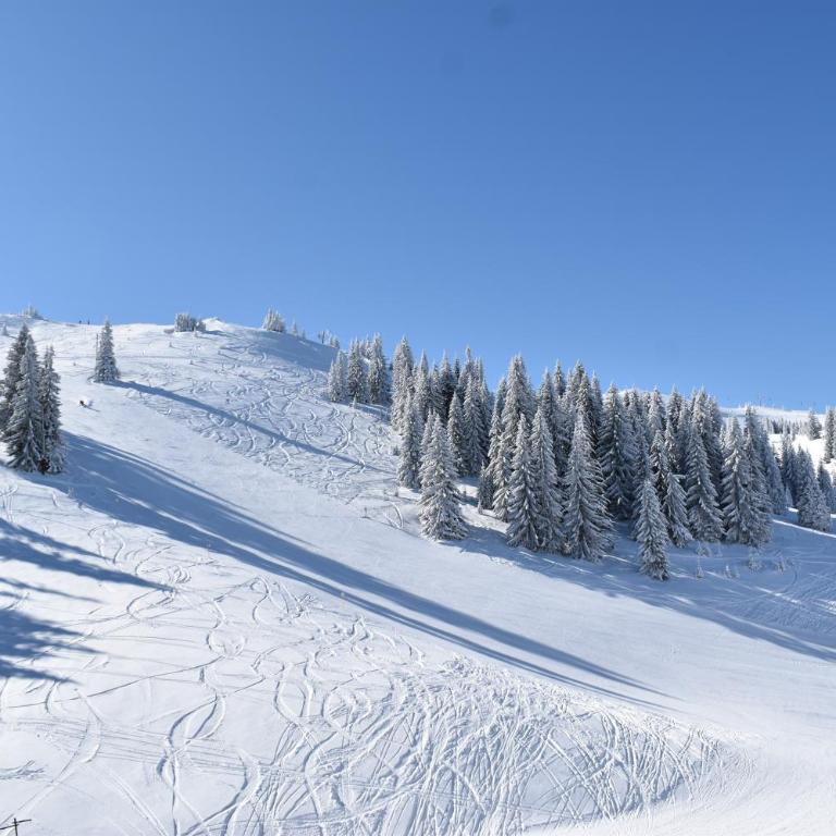 Winter Home Jahorina - One-Bedroom Apartment - 36