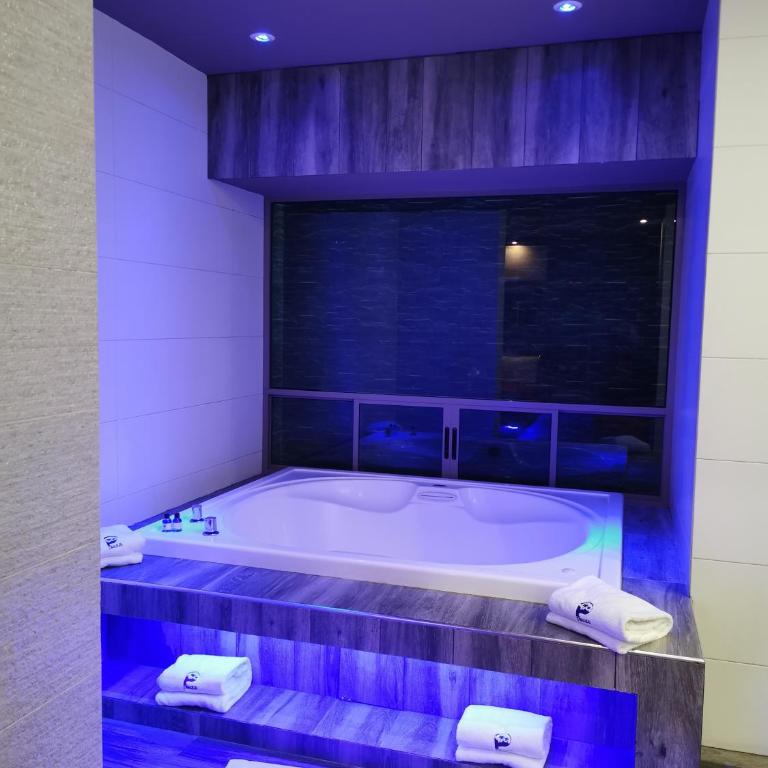 Hotel Plaza Arteaga - Deluxe Suite with Spa Bath - 4