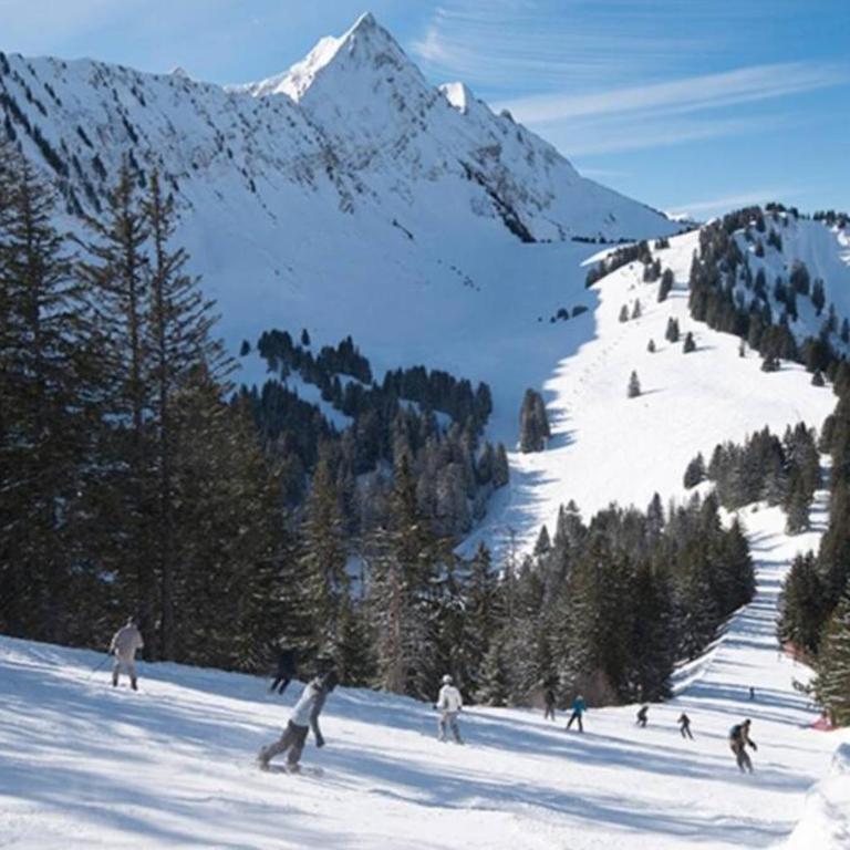 Le Relai S31 - Grand et lumineux studio avec coin montagne 4-6 pers, tout équipé, avec WIFI, à 30m des pistes avec un grand balcon, DRAPS NON COMPRIS - Studio - Vue sur Montagne - 15