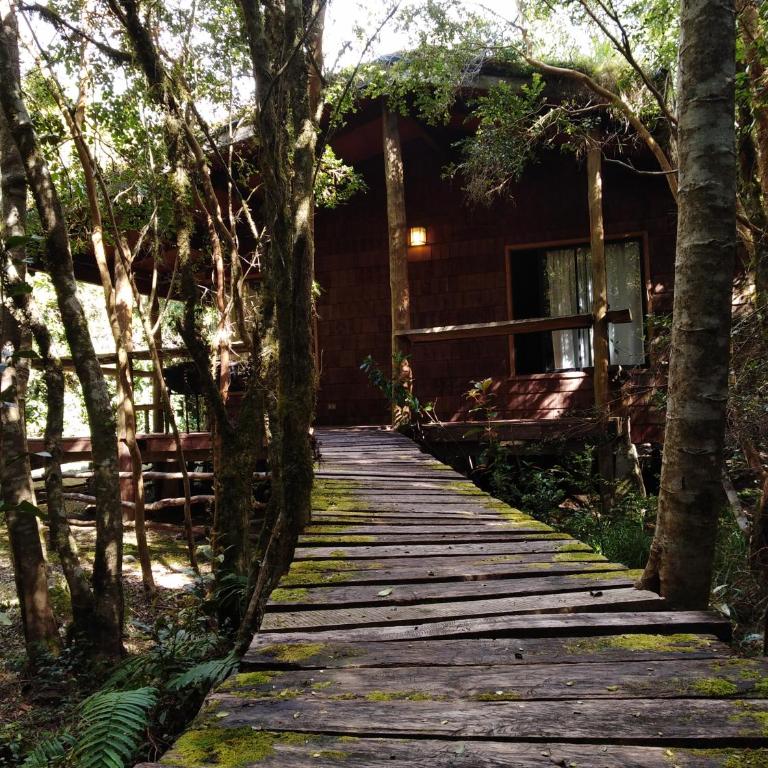 Cabaña en Río Puelo - Casa con 1 dormitorio - 10