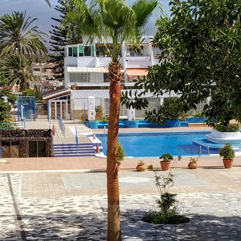 Oasis Marina Apartament - Casa con 1 dormitorio - 3