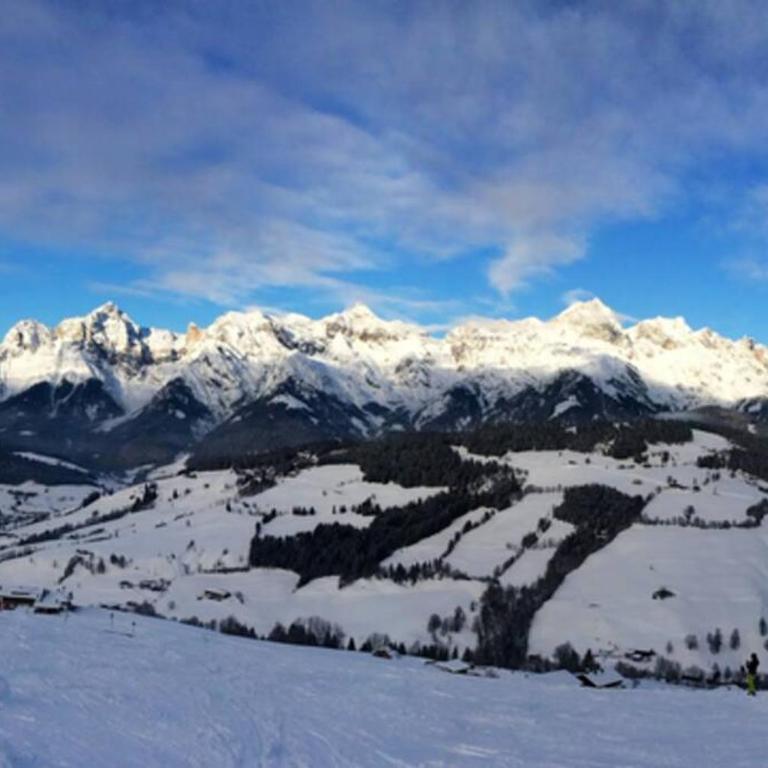Sunny Apartment Maria Alm - Apartment - 20