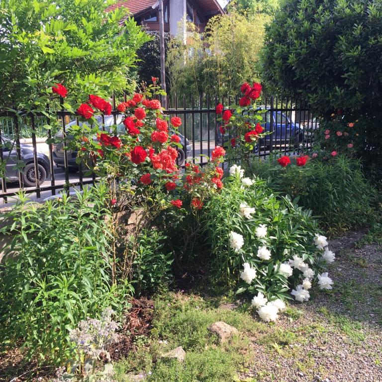 LE CATALPA - centre ville, jardin & parking! - Apartment mit 2 Schlafzimmern - 16