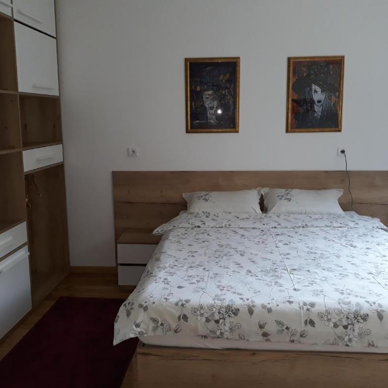 Apartmani Exit - Studio with Mountain View - 5