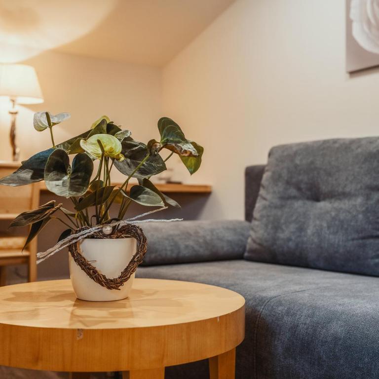 Gästehaus Eder - Two-Bedroom Apartment - 3