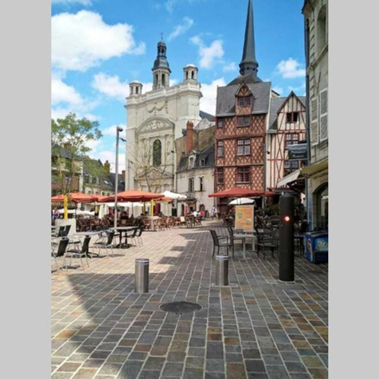 appart centre ville bords de loire - Appartement 1 Chambre - 4