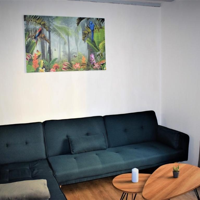 Gite Le Nid des Zoo Zio, 5mn Beauval, appartement terrasse centre-ville - Apartment mit 2 Schlafzimmern - 14