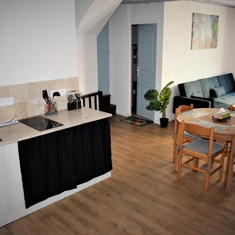 Gite Le Nid des Zoo Zio, 5mn Beauval, appartement terrasse centre-ville - Apartment mit 2 Schlafzimmern - 13