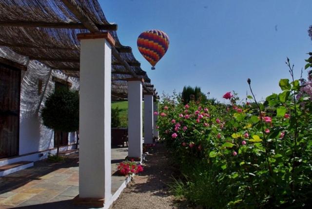Holiday Home Finca Retama - Casa de 2 dormitorios (4 adultos + 1 niño) - 25