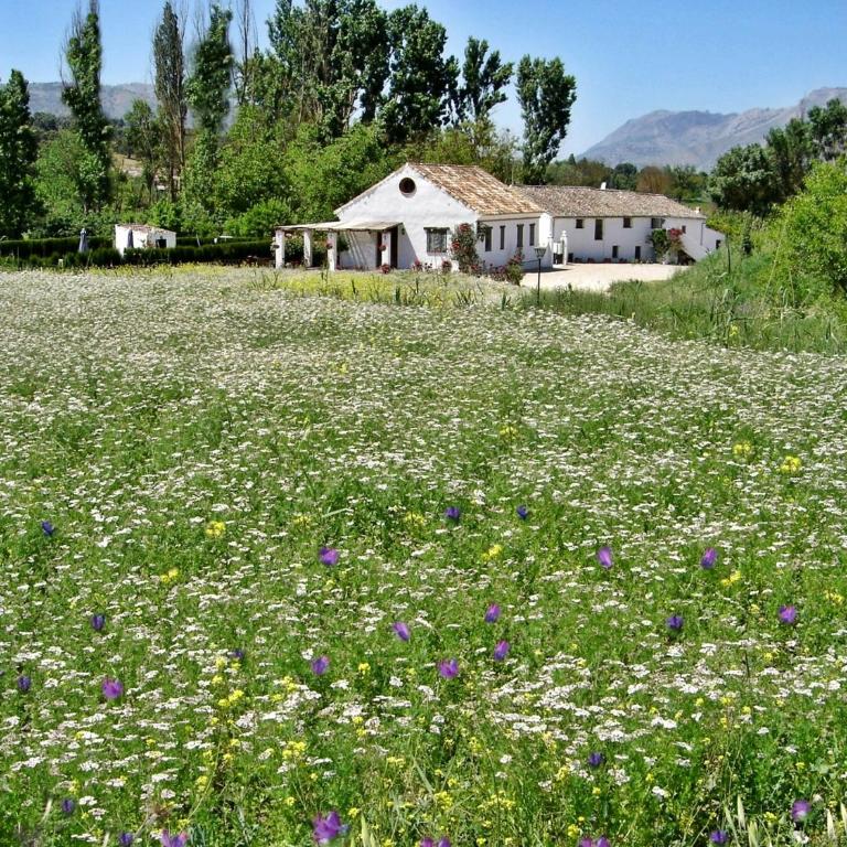 Holiday Home Finca Retama - Casa de 2 dormitorios (4 adultos + 1 niño) - 40