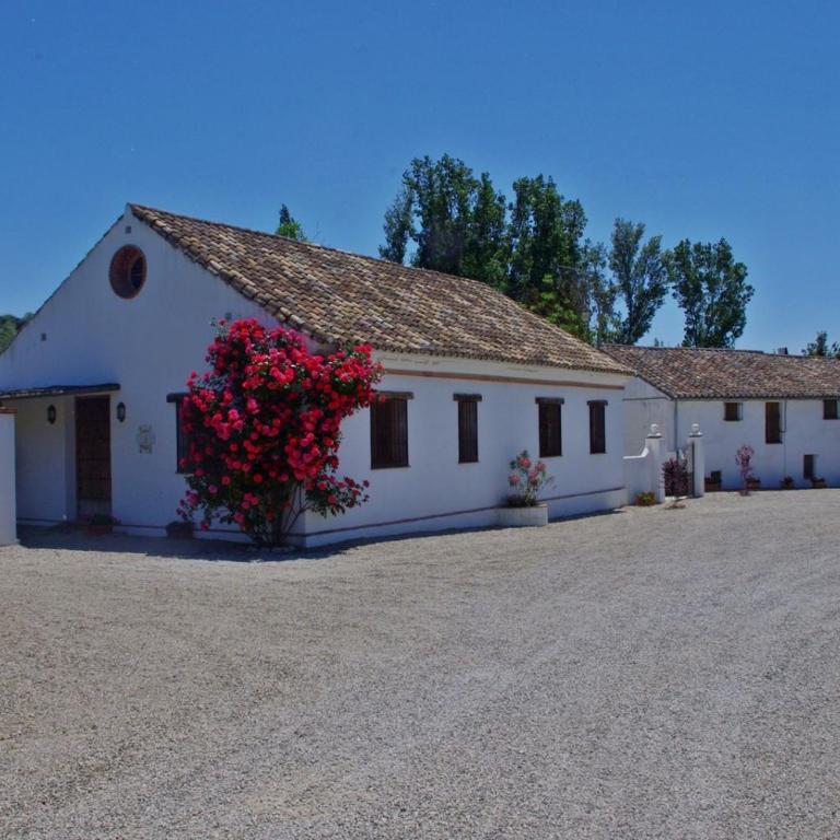 Holiday Home Finca Retama - Casa de 2 dormitorios (4 adultos + 1 niño) - 43