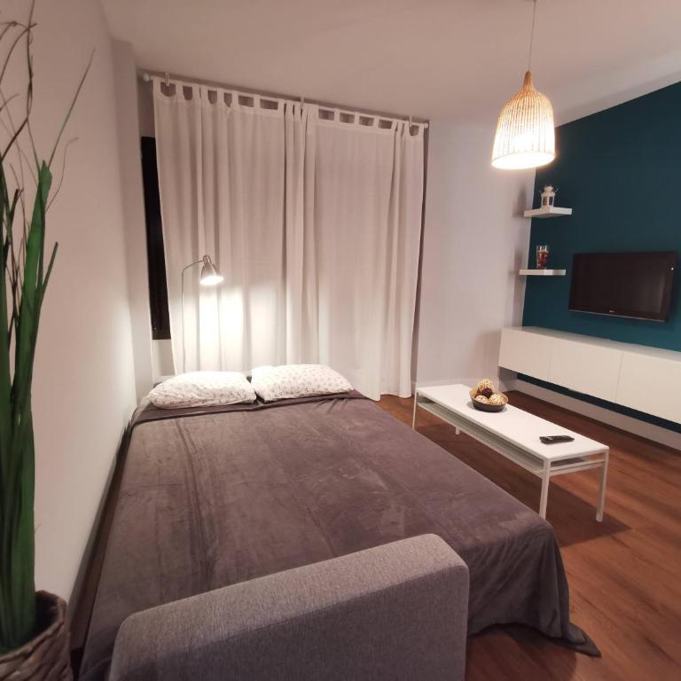 Apartamento RAL5021 en Triana junto al centro - Apartamento de 1 dormitorio - 3