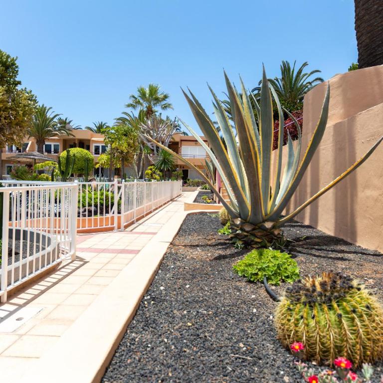 SolApartment - Apartamento con vistas al jardín - 33
