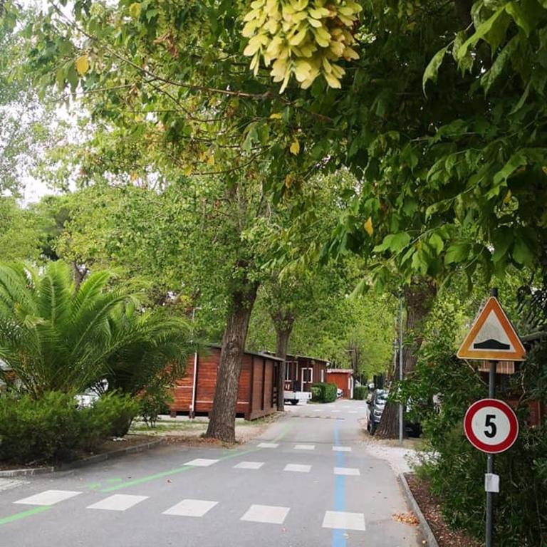 Campeggio Italia - Bungalow (4 Adulti) - 2