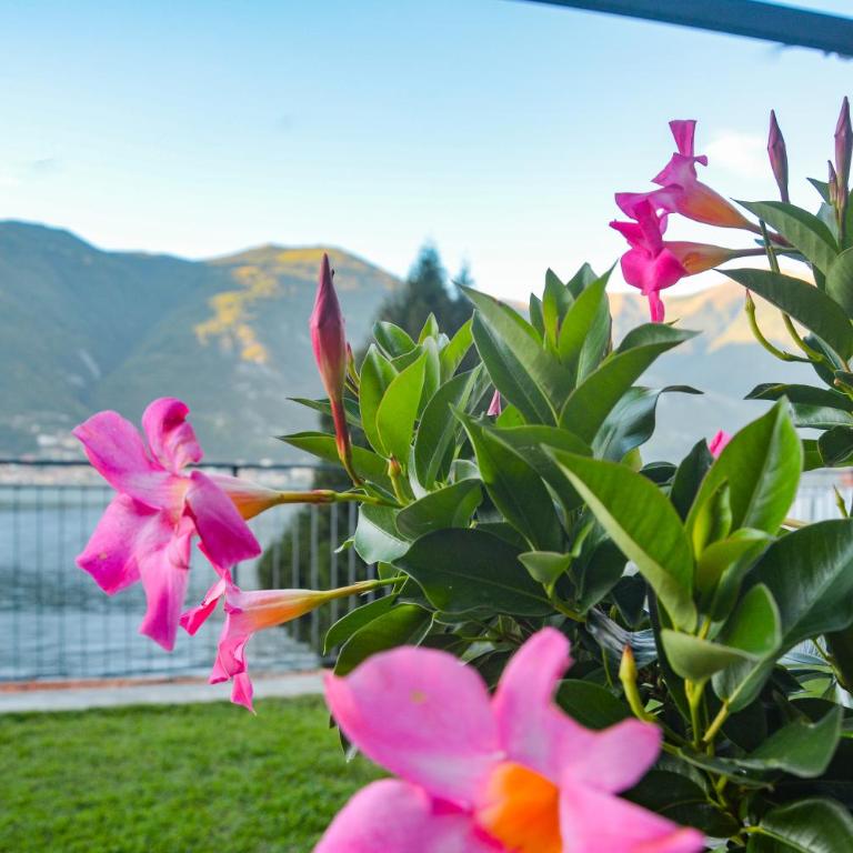 Bellagio Villas - Appartamento con Balcone - Via Crotto 27 - 8