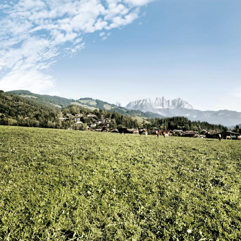 RÉSIdence Reith Kitzbühel - Apartment mit 3 Schlafzimmern - 87