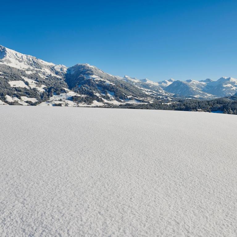 RÉSIdence Reith Kitzbühel - Apartment mit 3 Schlafzimmern - 67