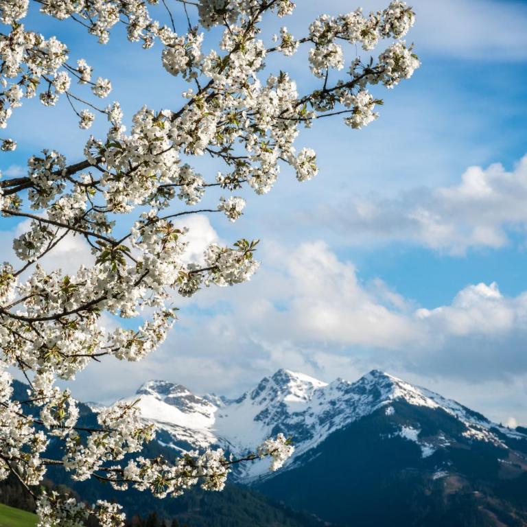 RÉSIdence Reith Kitzbühel - Apartment mit 3 Schlafzimmern - 72