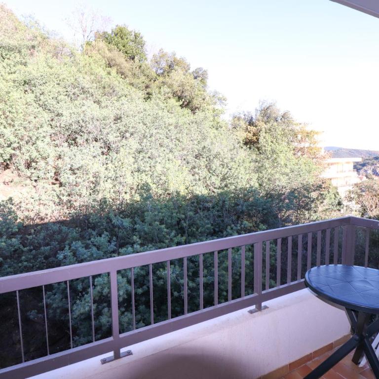 Locations appartements standing Amélie-les-bains - Appartement 1 Chambre avec Vue - 7