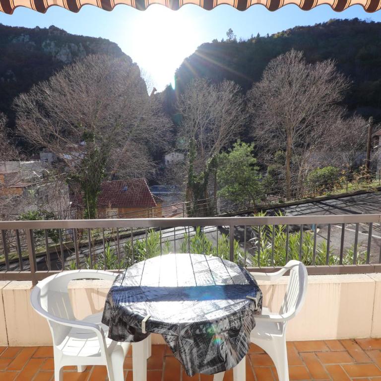 Locations appartements standing Amélie-les-bains - Appartement 1 Chambre avec Vue - 1