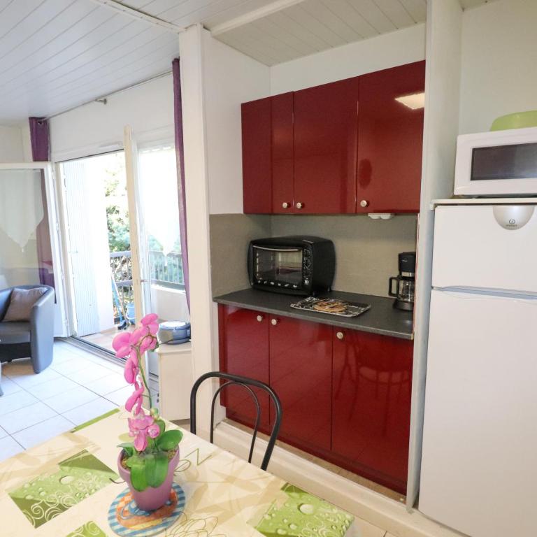 Locations appartements standing Amélie-les-bains - Appartement 1 Chambre avec Vue - 1