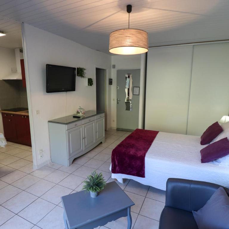 Locations appartements standing Amélie-les-bains - Appartement 1 Chambre avec Vue - 5